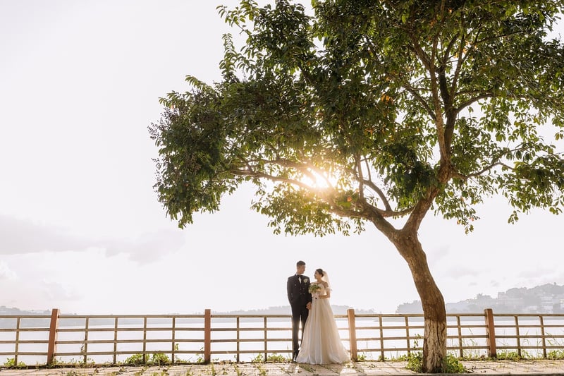 Tree Ceremonies
